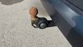 View of trailer tow-bar hitch