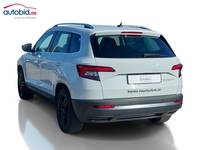 Skats no kreisās puses aizmugurē