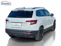 Skats no labās puses aizmugurē