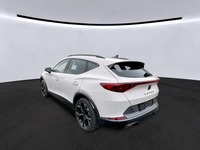 Szczegółowe zdjęcie