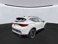 Szczegółowe zdjęcie