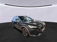 Szczegółowe zdjęcie