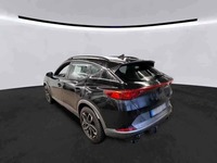 Szczegółowe zdjęcie