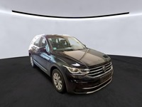 Szczegółowe zdjęcie