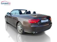 Ansicht hinten links