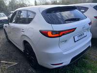 Vaade tagant vasakult