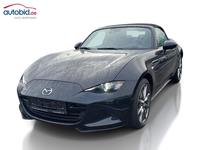 Pogled sprijeda lijevo