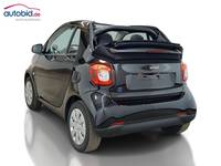 Widok z tyłu po stronie lewej