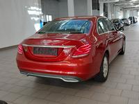 Vista posteriore destra