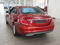 Vista posteriore sinistra