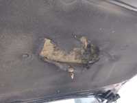 Fotografija s detaljima