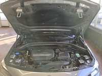 Szczegółowe zdjęcie