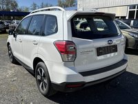 Vista posteriore sinistra