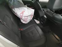 Szczegółowe zdjęcie