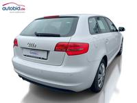 Вид сзади справа