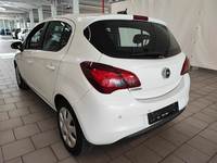 Vista posteriore sinistra