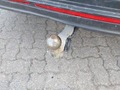 View of trailer tow-bar hitch