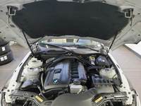 Szczegółowe zdjęcie