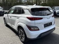 Vista posteriore sinistra