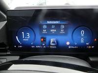 Widok zestawu wskazników