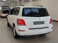 Widok z tyłu po stronie lewej