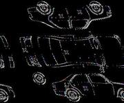 Podrobna fotografija