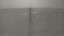 Dach