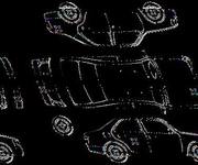 Podrobna fotografija