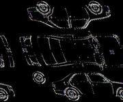 Podrobna fotografija