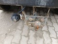 View of trailer tow-bar hitch