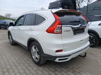 Ansicht hinten links