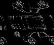 Podrobna fotografija