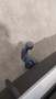 View of trailer tow-bar hitch
