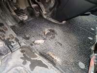 Детальное фото