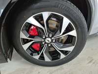 Szczegółowe zdjęcie