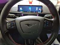 Szczegółowe zdjęcie