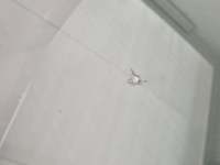 Szczegółowe zdjęcie