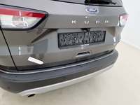 Szczegółowe zdjęcie