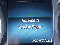 Estatuto do veículo