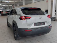 Widok z tyłu po stronie lewej