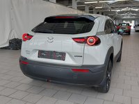 Widok z tyłu po stronie prawej