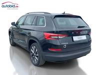 Widok z tyłu po stronie lewej