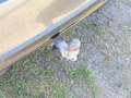 View of trailer tow-bar hitch