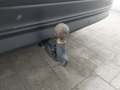 View of trailer tow-bar hitch