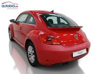 Vaade tagant vasakult