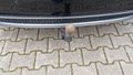 View of trailer tow-bar hitch