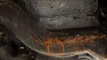 Weitere Bilder Karosserie