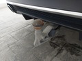 View of trailer tow-bar hitch