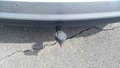 View of trailer tow-bar hitch