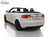 Náhled zezadu zleva